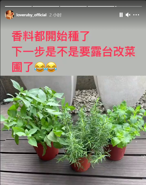 全能贤妻！林心如宅家自种香料，打算露台改菜圃曝光奢华豪宅