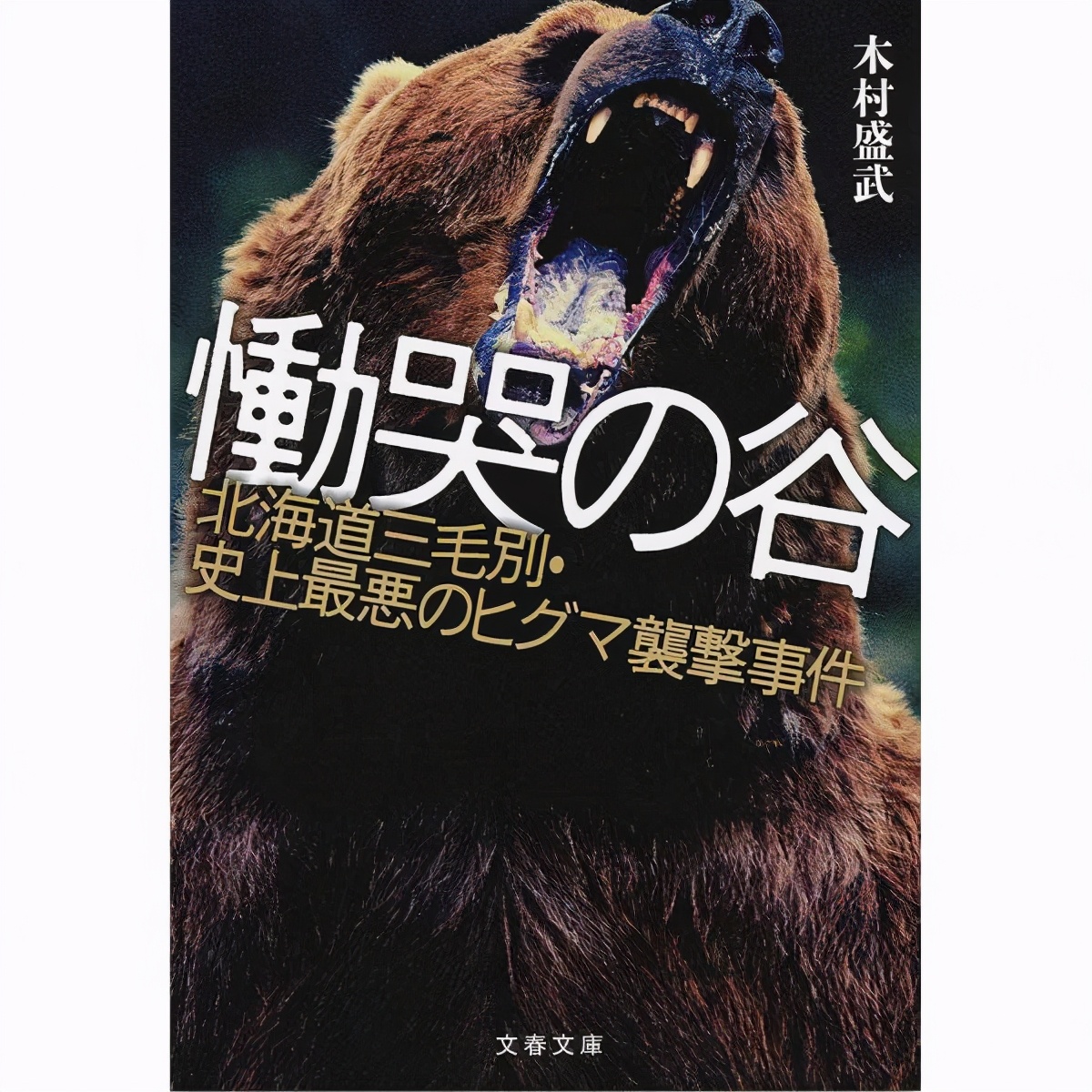 日本史上最骇人听闻的野兽袭击事件 三毛别罴事件 资讯咖