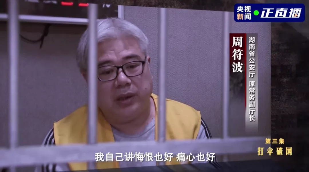 《扫黑风暴》，黑老大原型是他！