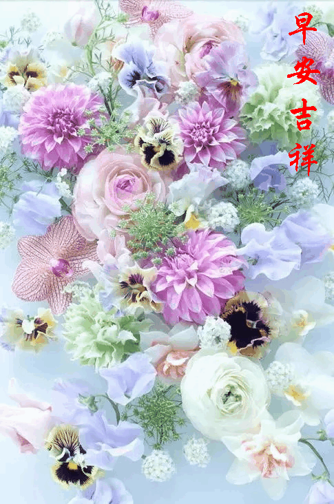 早上好动态图片带字和鲜花 早上好图片大全图片