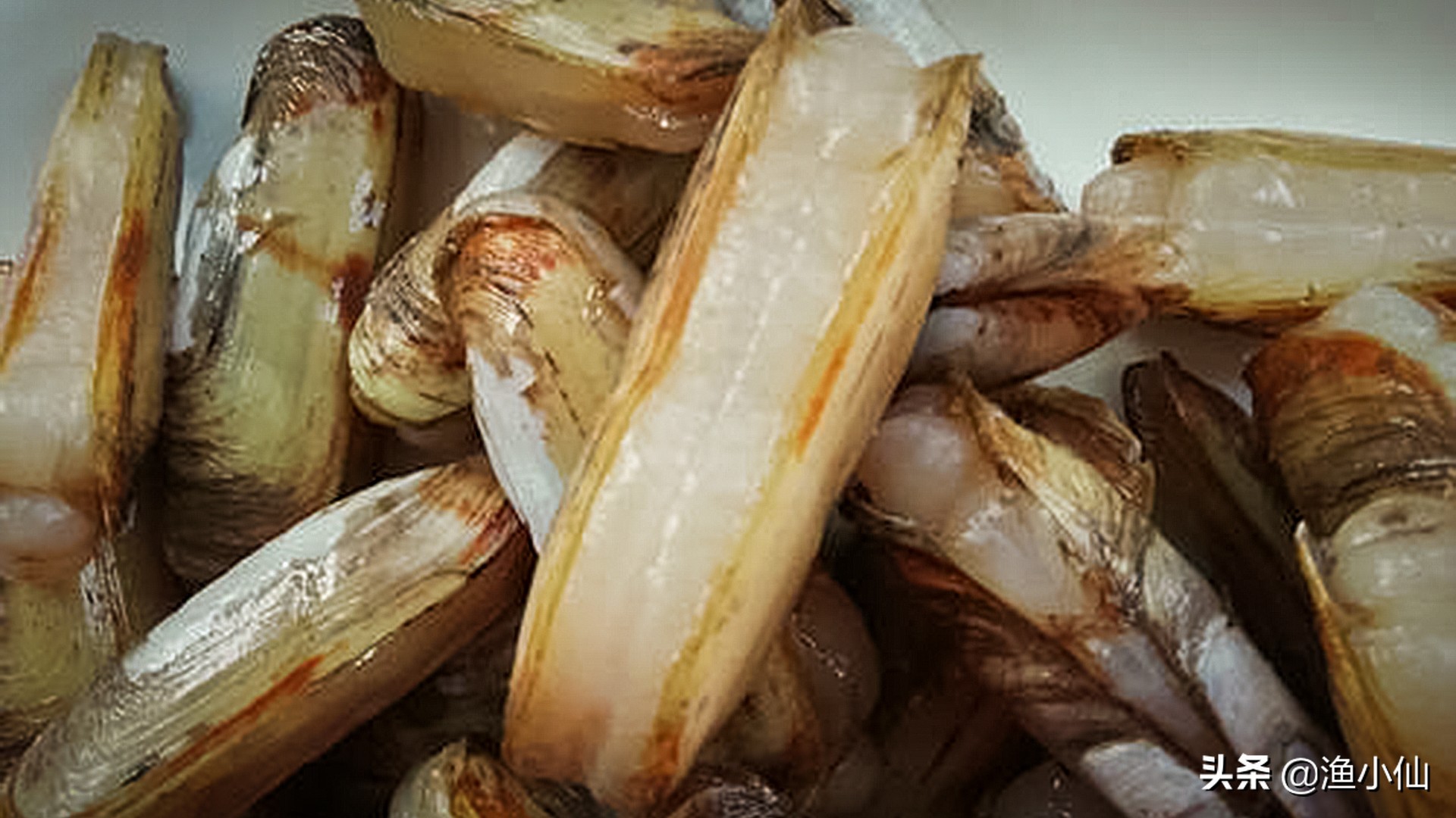 蛏子的贝壳呈长方形而两端纯圆,长约4～8厘米,壳顶靠近前方.