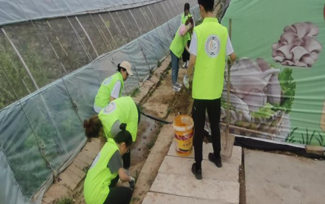 山西旅游职业管理学院由团委青志部组织参加雷锋爱心菜园志愿活动
