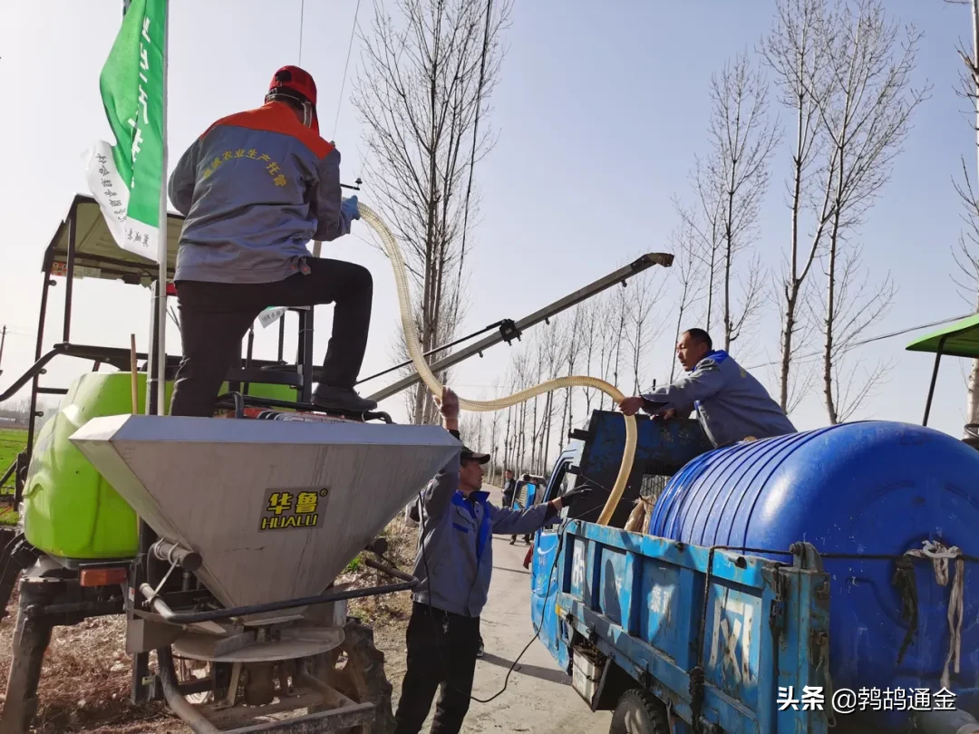 80后不想种地，90后不懂种地，00后不问种地..谁来