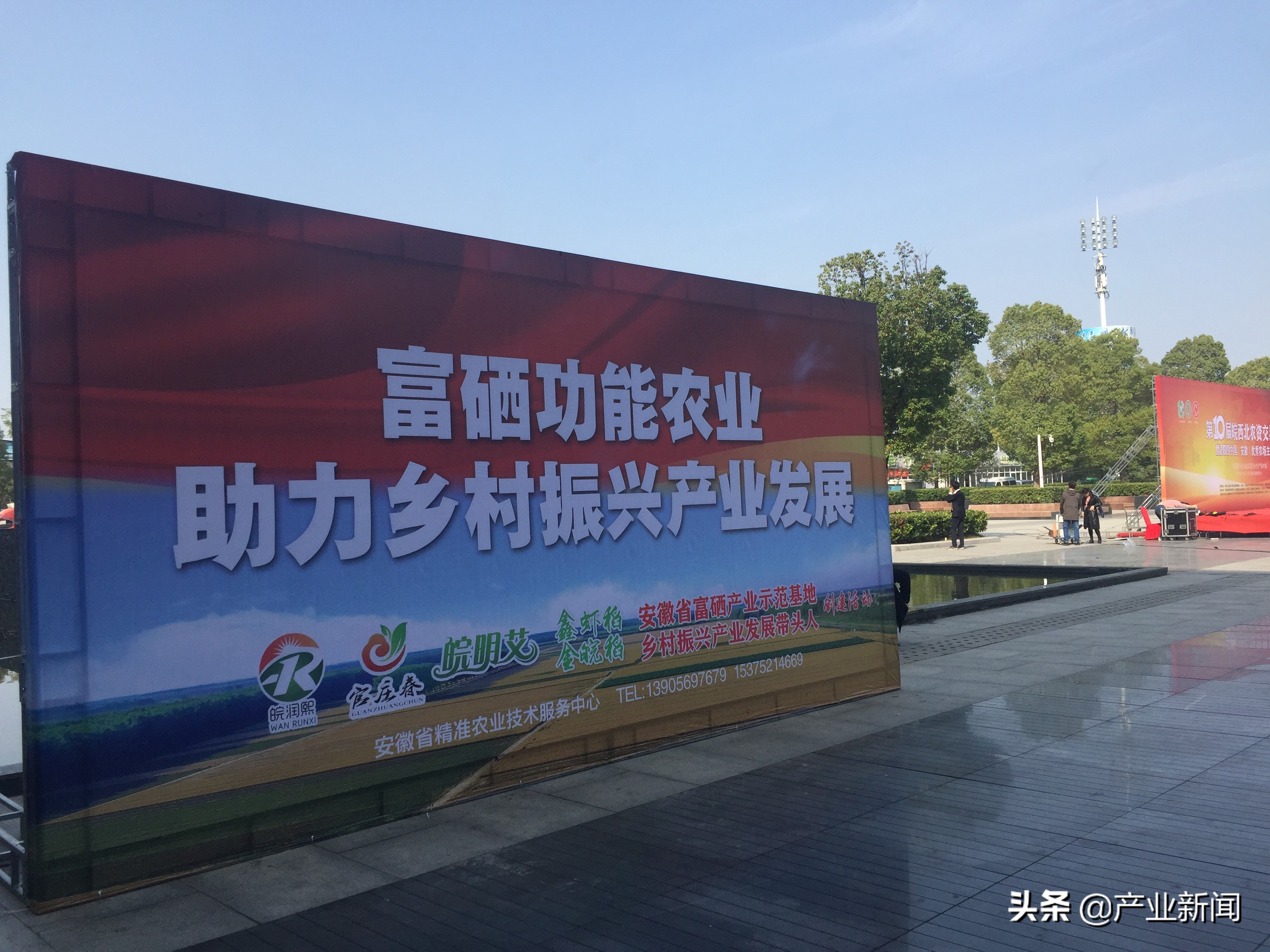 （安徽省）富硒稻米发展可行性报告——种植特