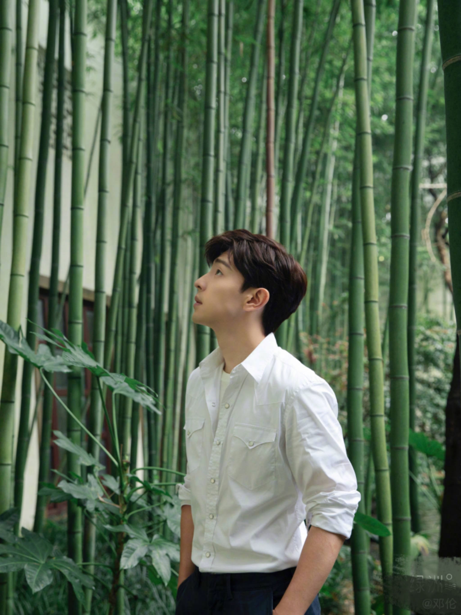 战火狼烟全集在线1080p清晰中字熟肉无删减资源已分享