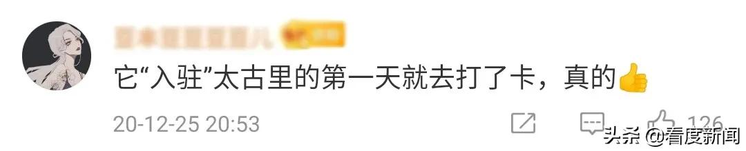 火遍全网、万人打卡的狮子王，我们找到了他的“幕后老大”