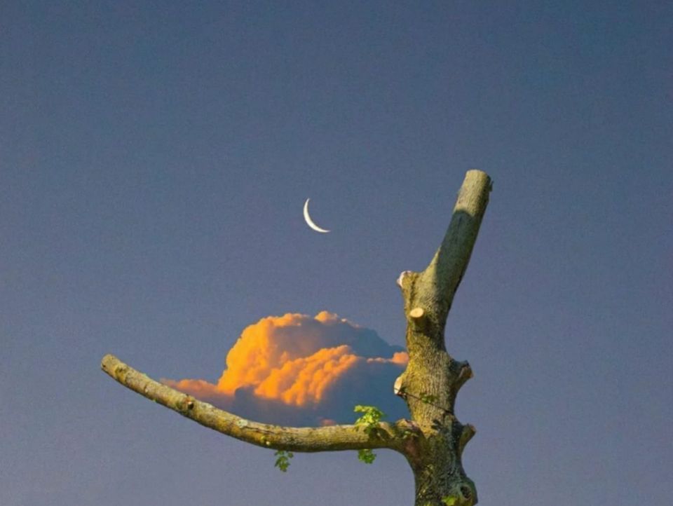 文案：“为了避免结束，所以你避免了一切的开始。”