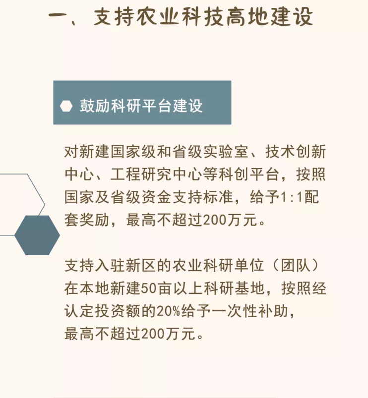 乡村振兴高质量发展十条政策