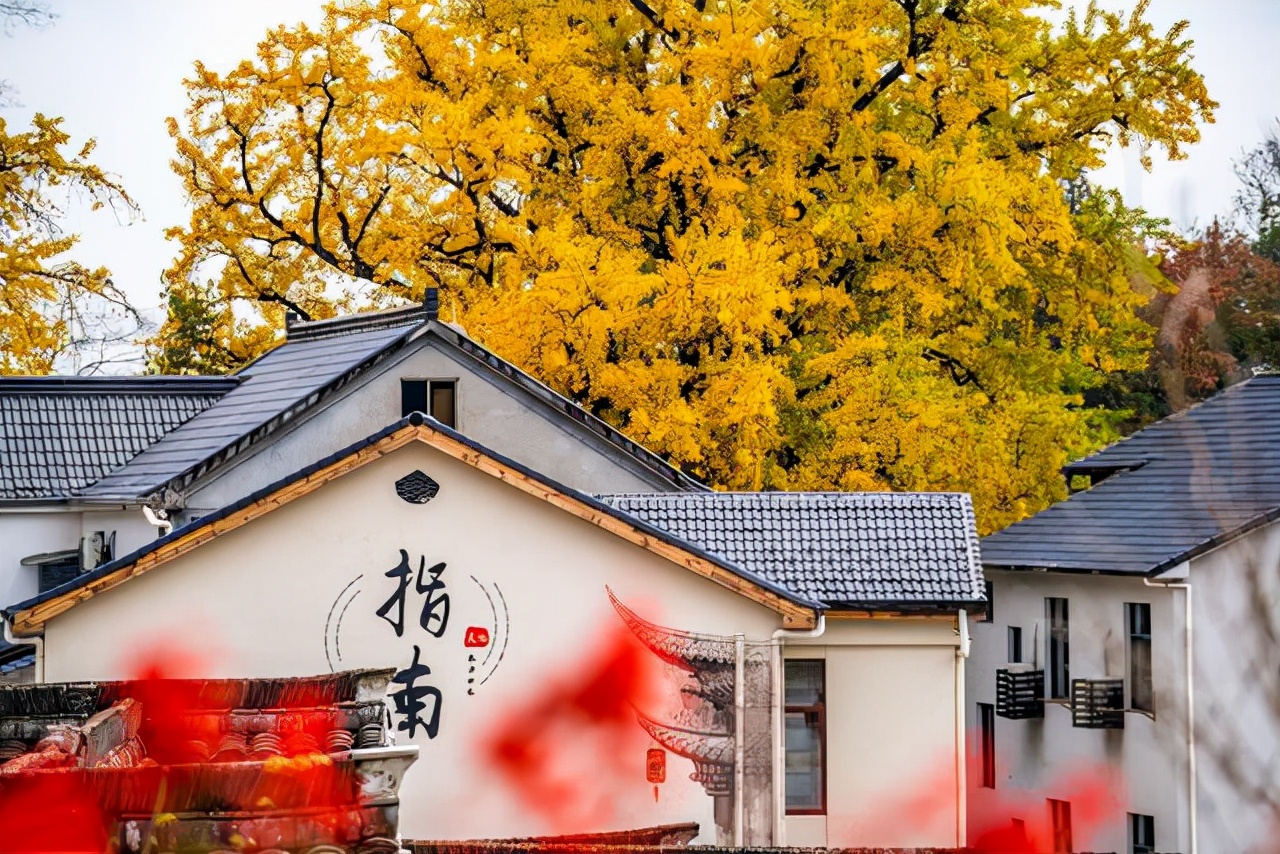国庆出行想避开人潮？推荐这8条路线，景美人少，正适合秋天出发