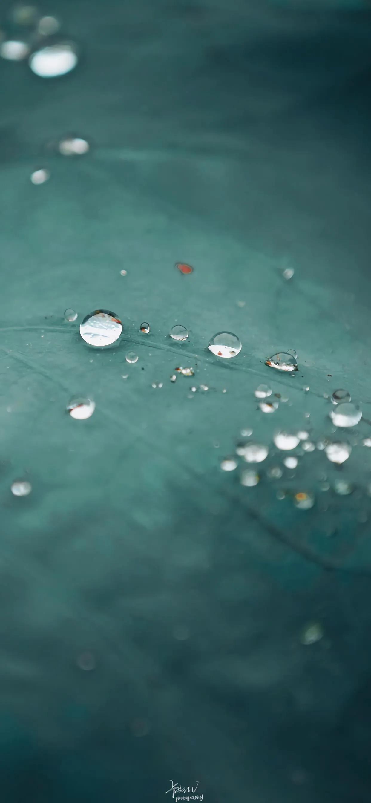 Iphone高清壁紙 混搭風格好看的壁紙 總有你喜歡的 檸檬美圖壁紙館 Mdeditor