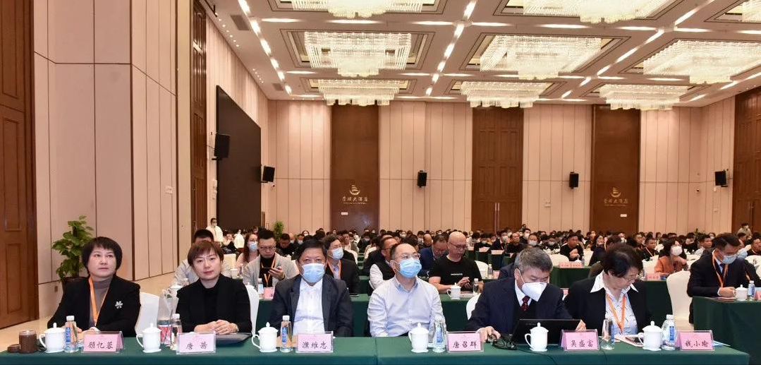 第二届石木塑全产业链峰会在湖南岳阳举行