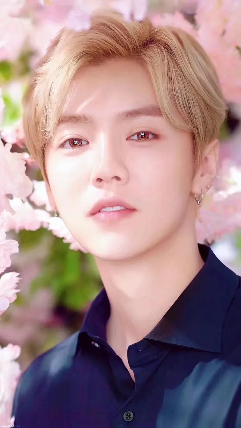 ¹�������ˣ�������ֹ�밮��Ʒ�ƺ�����ϵӮ����