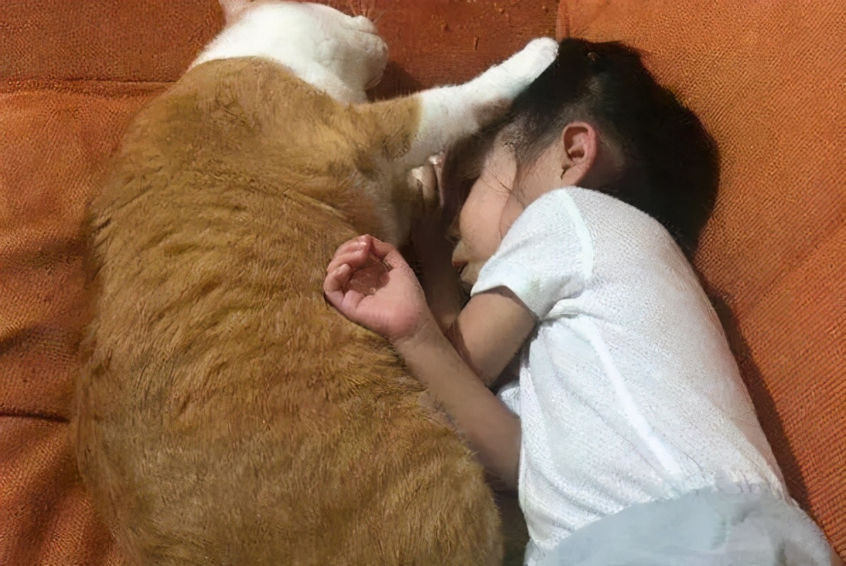 用猫狗替代男人只需做到这三步，宠物营销背后的道德危机