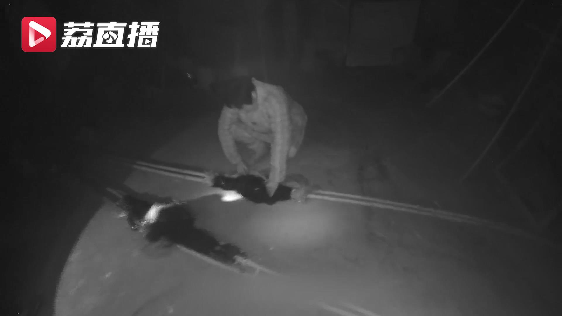路边兜售的&ldquo;野味&rdquo;有国家二级保护动物！民警循线索去抓嫌疑人时其正在捕鸟