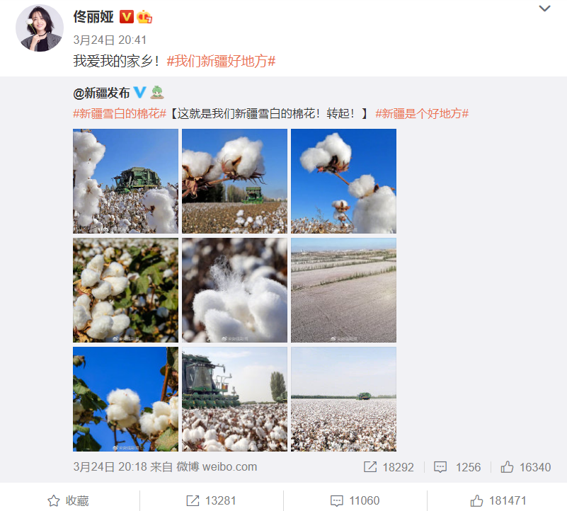 明星们都该向佟丽娅学习，身为新疆人，每年都