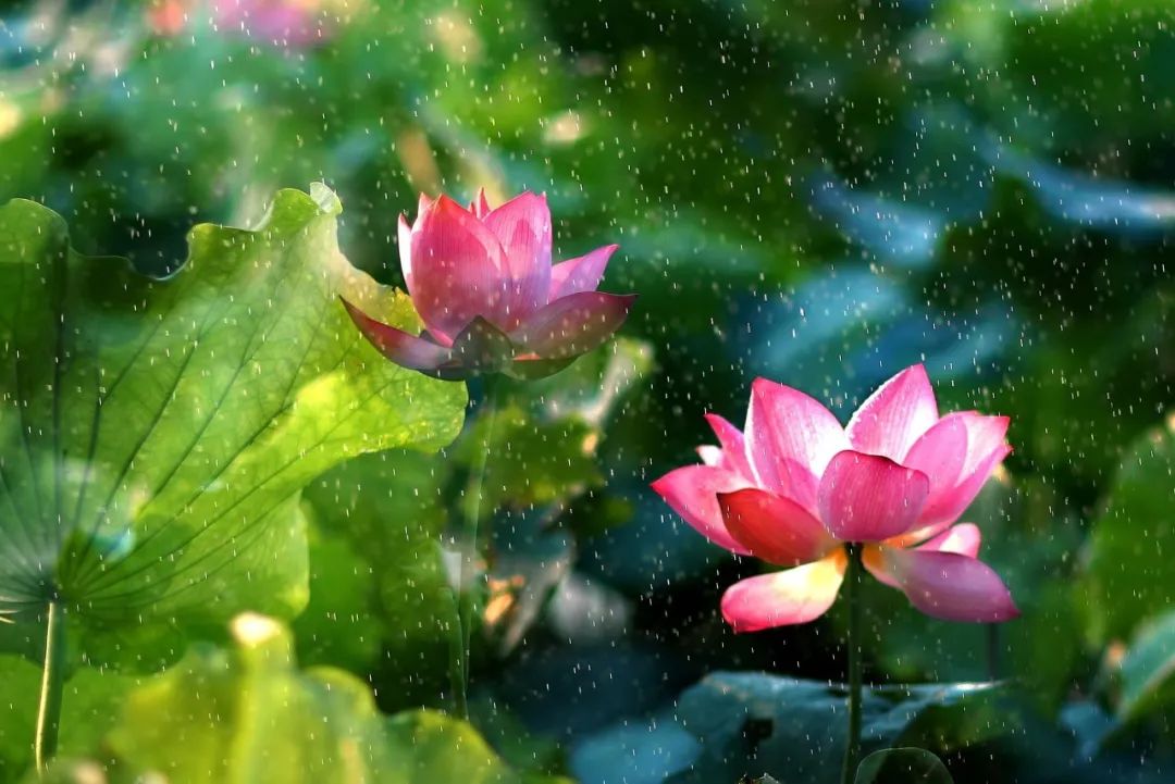 这些大学太美了！网友哭着想重回高考，你最喜欢哪一个？