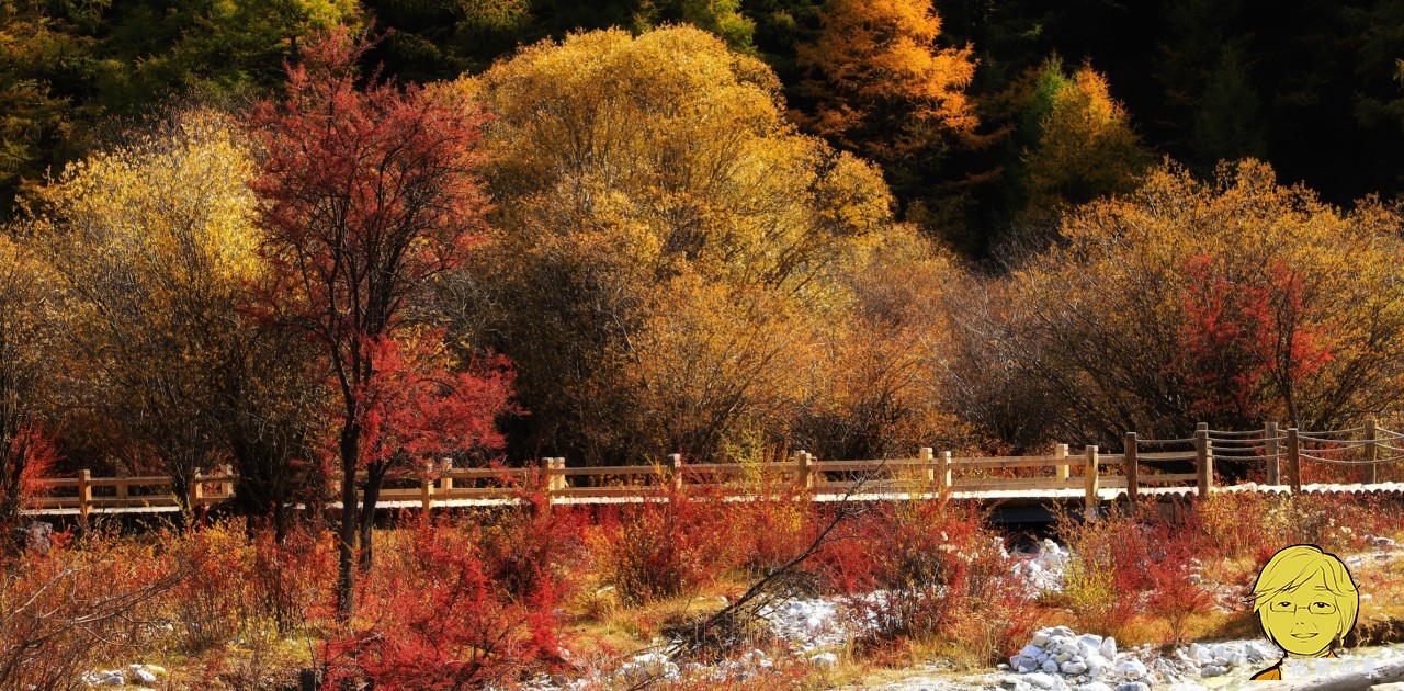 The golden autumn is here again, if you want to go to Aden, Daocheng, you should set off