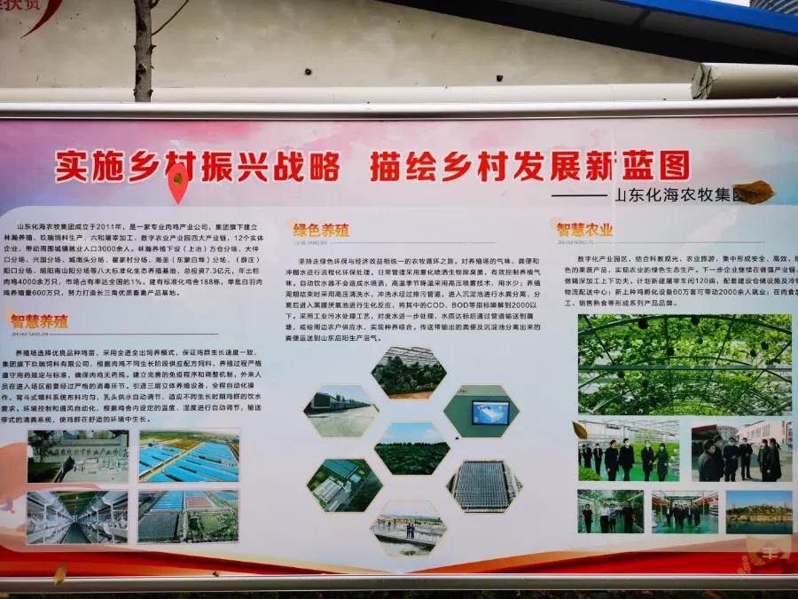 李希信到临沂市调研乡村振兴和农村人居环境整治工作