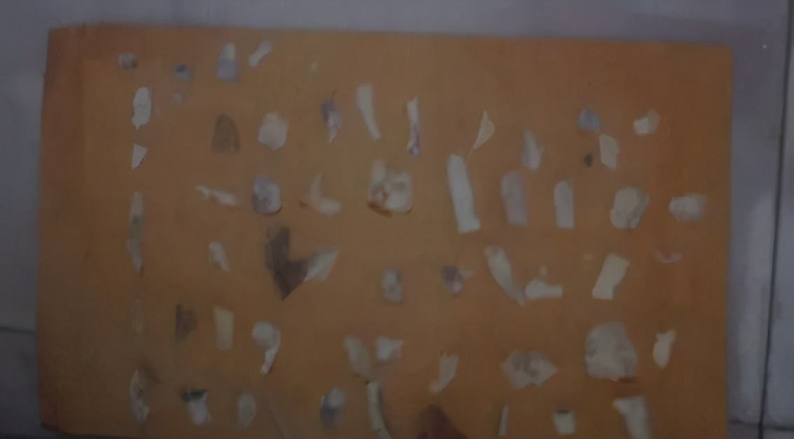 大案纪实：女大学生误乘黑摩的惨遭奸杀碎尸案