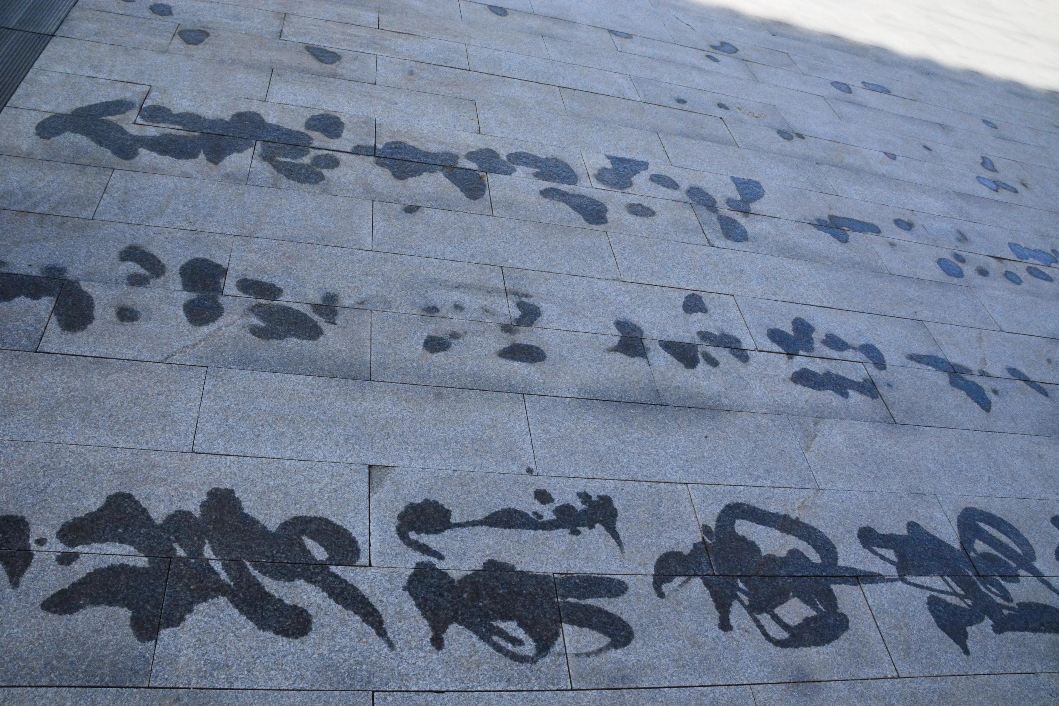 北京大兴区南海子公园迎来小长假第一天