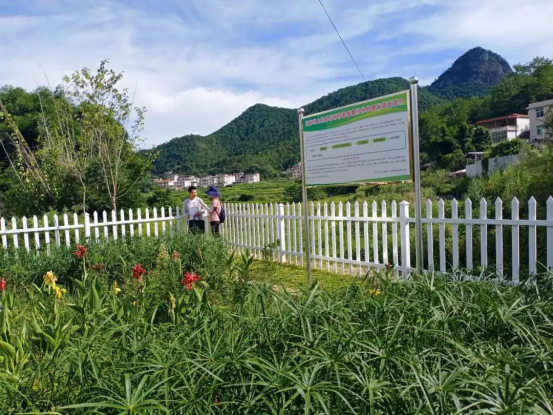 生态文明建设 让“一城如画”变成现实