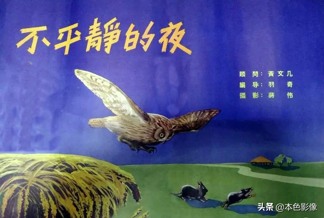 六十年代国产电影大全(1963)