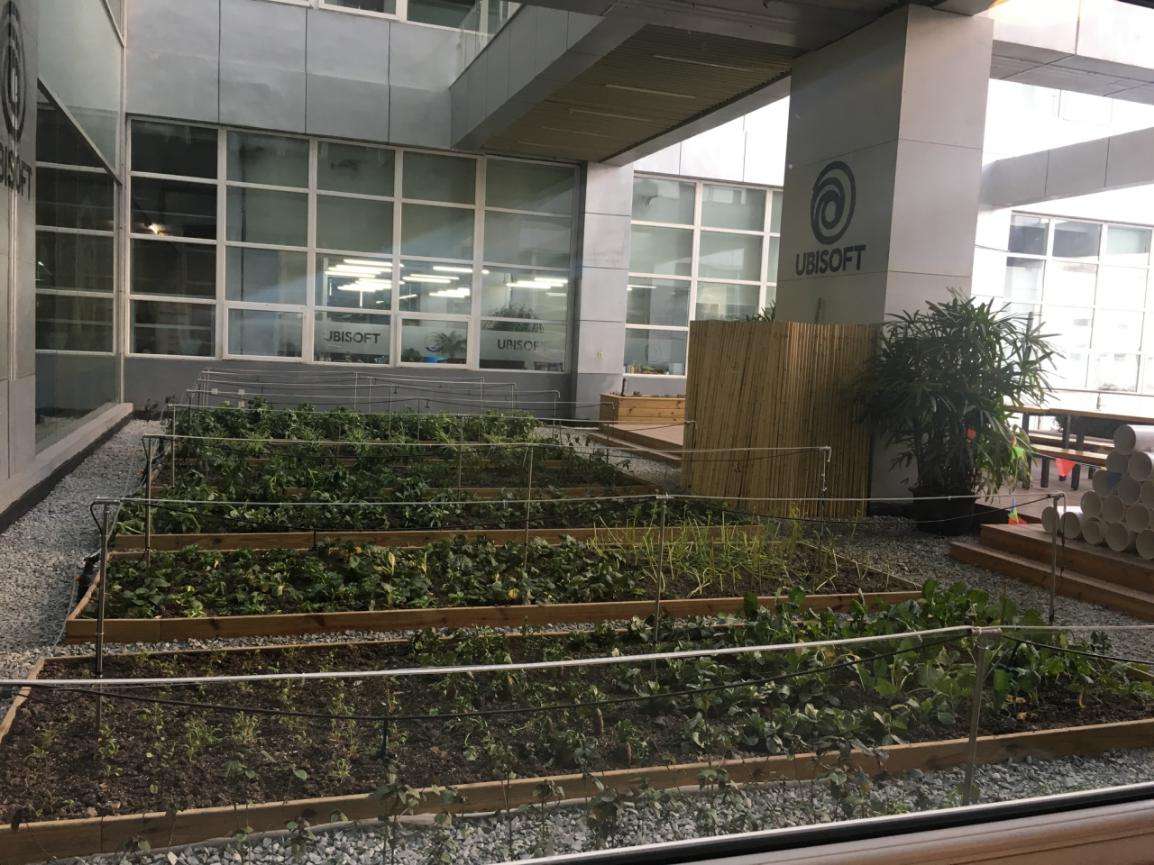 游戏梗百科之“土豆服务器”