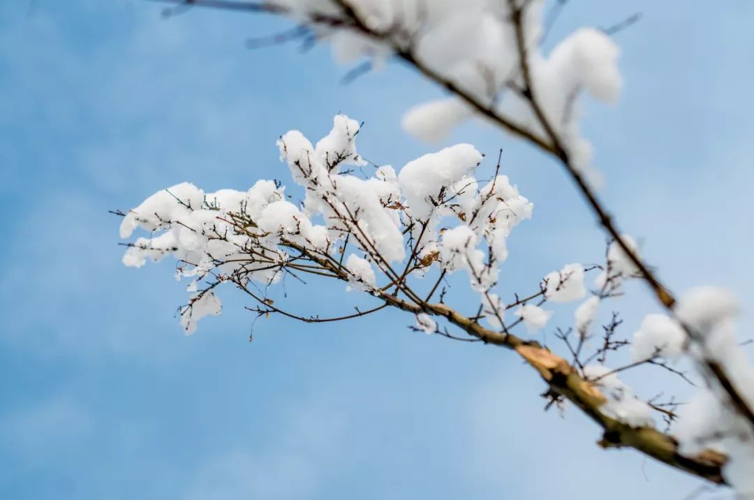 十首雪景诗词，最美的雪在诗词里-第6张图片-诗句网