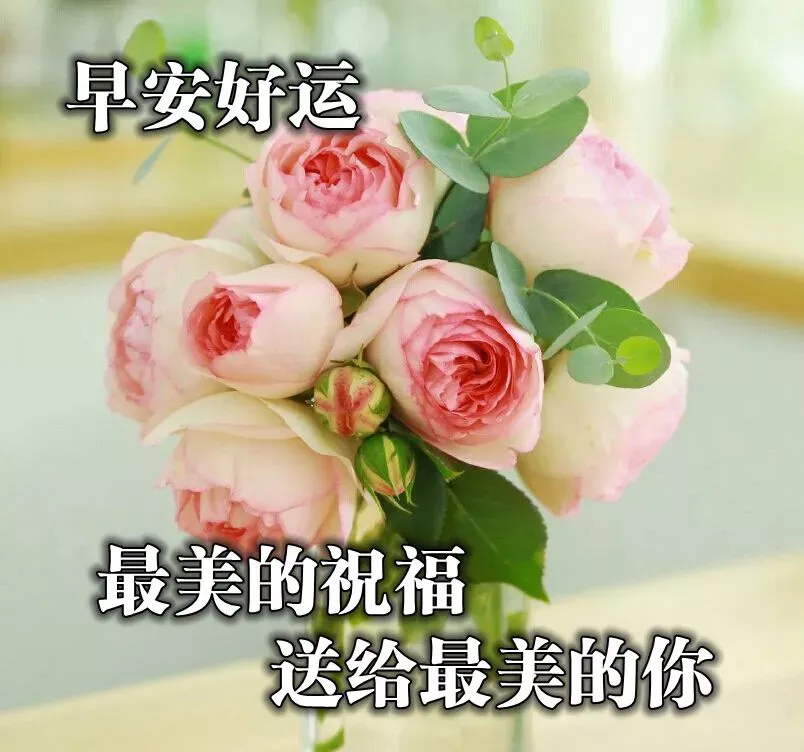 早上好祝福语优美句子图片 唯美早上好动态表情包图片