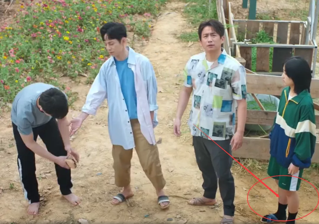 向往生活：统一穿拖鞋去田地，谁注意张子枫的