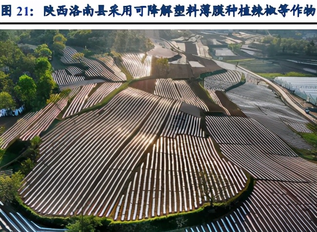 可降解塑料行业专题报告：500亿元市场空间可期