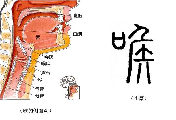 《说文解字》第145课：《诗经》里“噲噲其正”，究竟是什么意思