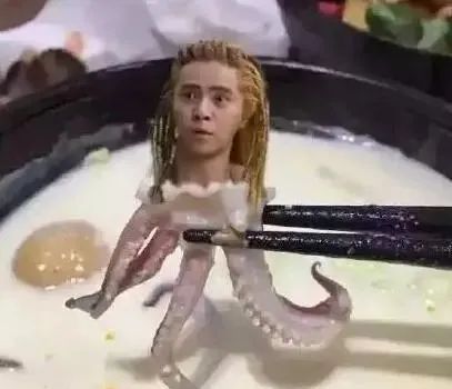 自媒体个人号运营个人总结：一把辛酸泪，两朵笑颜花