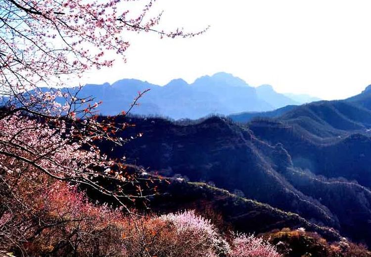 “五一”踏青赏山花 圣山灵水九龙峡