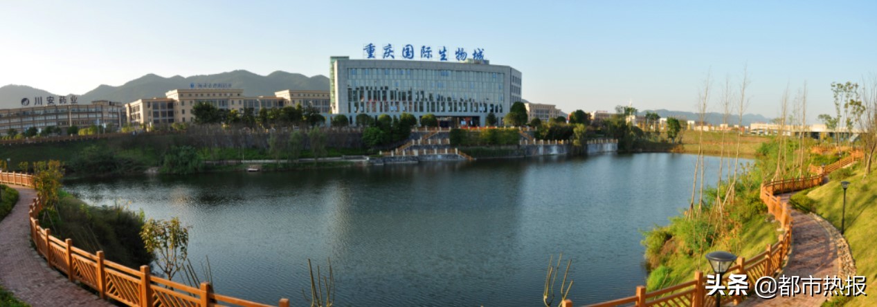 巴南高质量发展对症下“药”加快建设重庆国际生物城