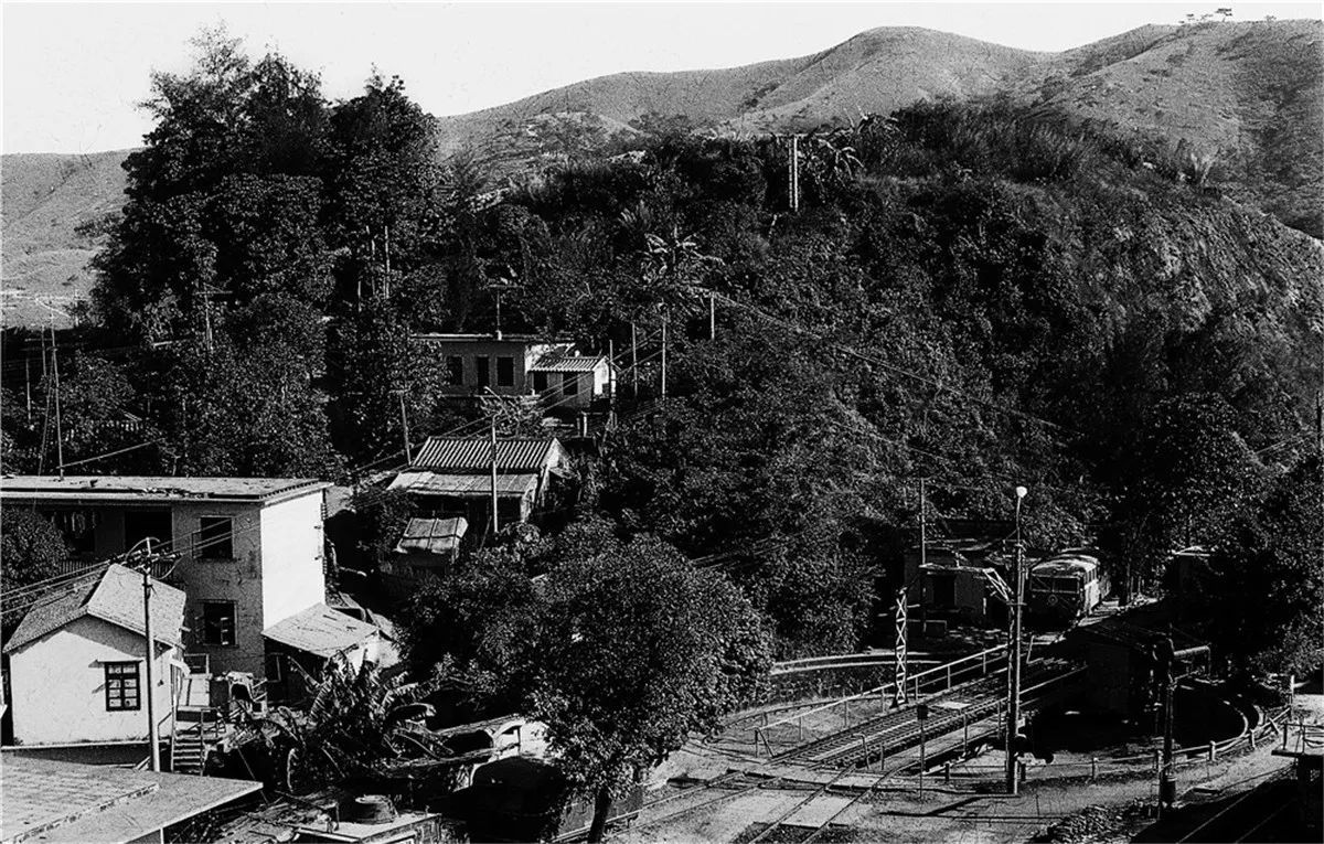 深圳奇迹是谁创造的？当年4个经济特区，为什么