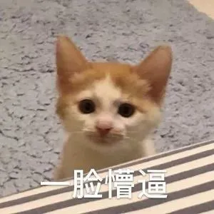 今年，扇贝今年又双叒跑了