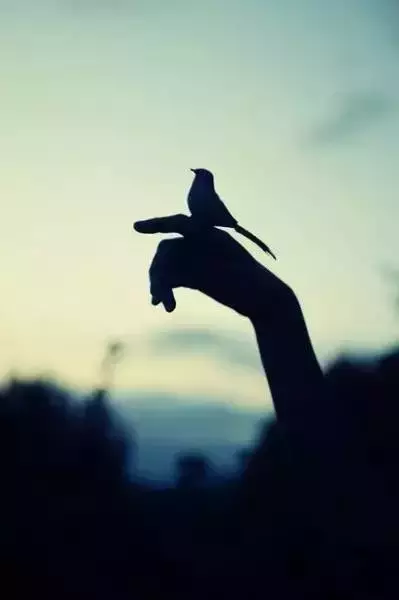 世界上最健康的生活方式是什么? -第7张图片-第一健康 世界上最健康的生活方式是什么? -第7张图片-第一健康