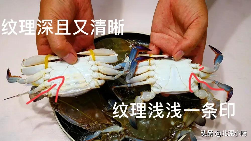 买螃蟹，公蟹和母蟹区别大；牢记3买3不买，螃蟹个个膏满黄肥