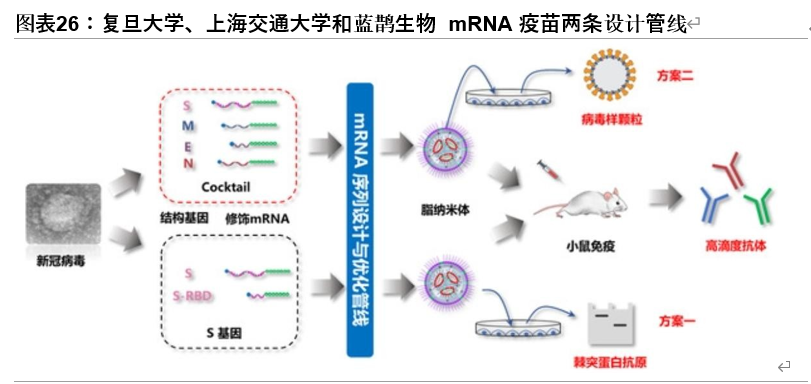 疫苗行业专题报告：一文读懂新冠疫苗全球竞赛