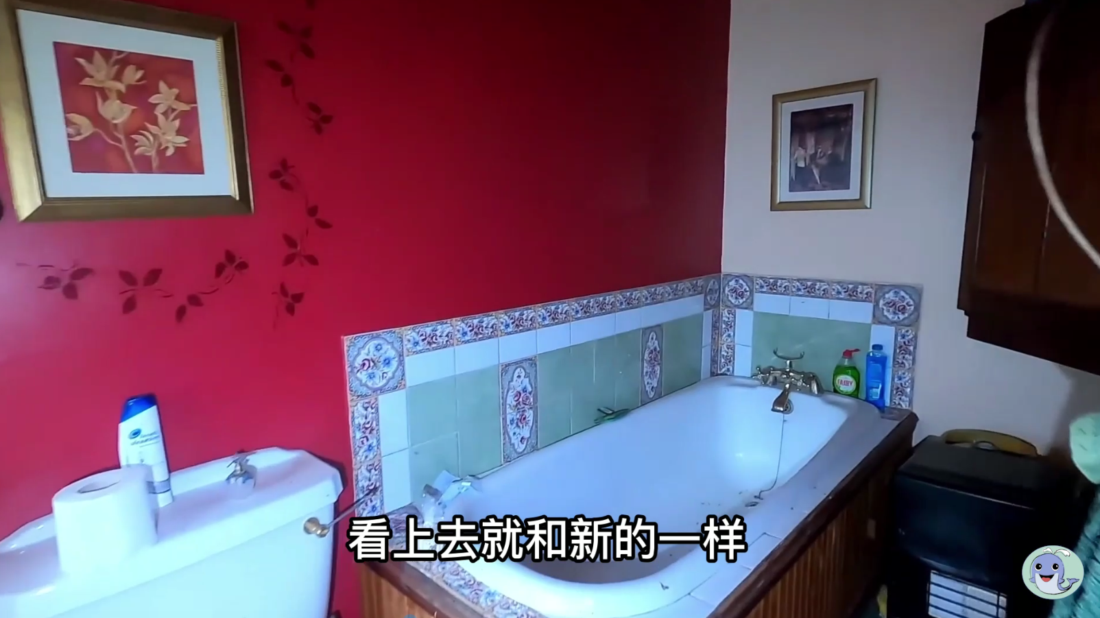 这是一栋被主人遗弃的房屋，价值180万的汽车都不要了