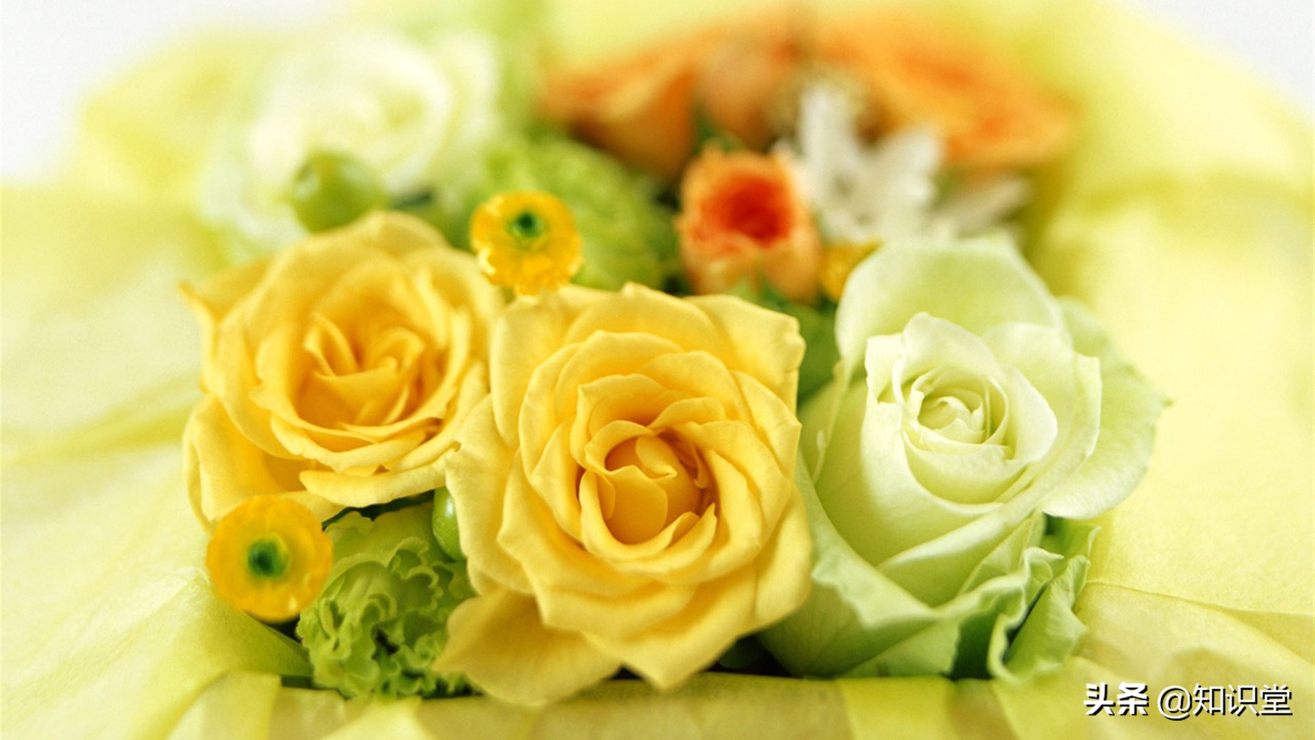 热门|精选10条热门七夕情人节祝福语 甜蜜美好的情人节祝福合集