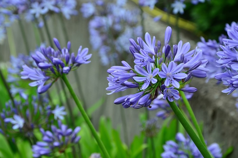 白羊座6月運勢詳解 走出舒適圈 接受新挑戰 有升職加薪的機會 歪歪樂星座運勢 Mdeditor