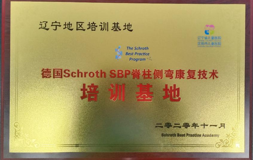 沈阳市卫生健康系统"人才建设年、科技创新年、基层提升年"建设成果之沈阳市儿童医院工作纪实