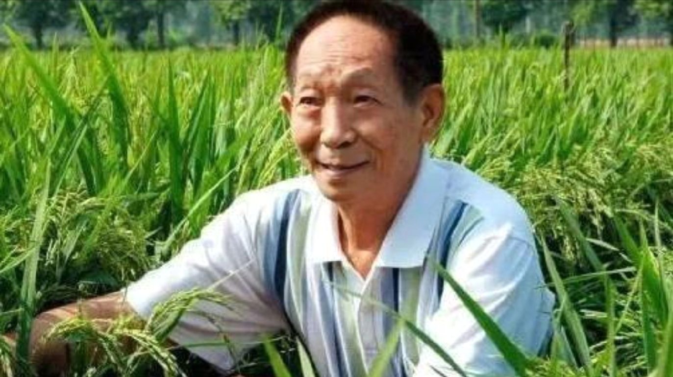杂交水稻之父，袁隆平先生一路走好