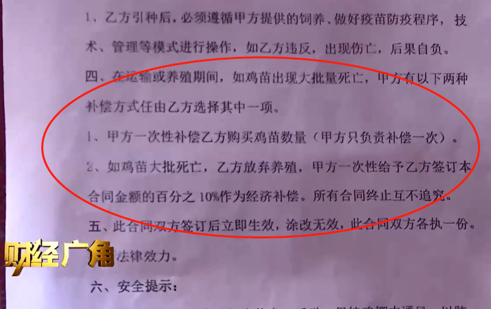真心疼！养殖场5天死了5000只鸡