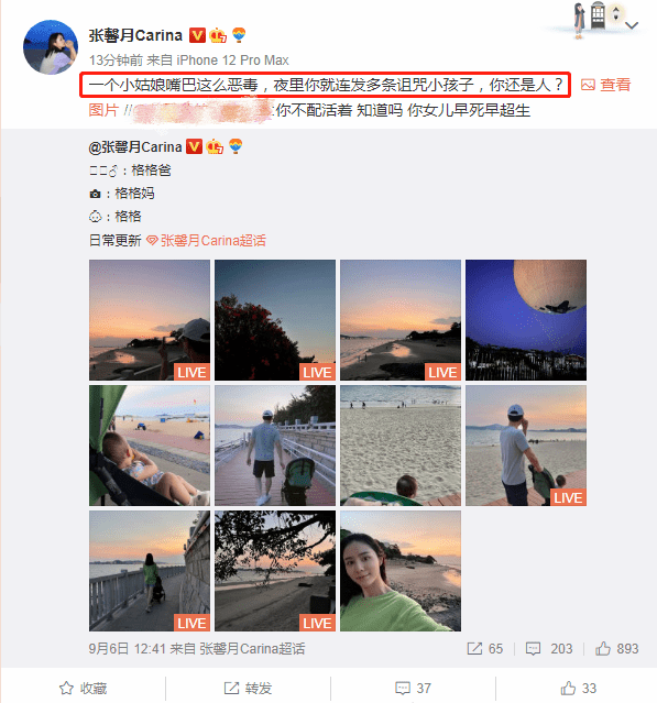 网友咒骂林峯女儿“早死早超生”，张馨月忍无可忍怒斥对方不是人