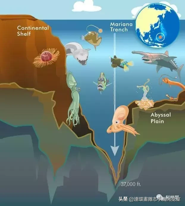 從0米到10000米，從海平面到地球最深處！海洋多可怕？