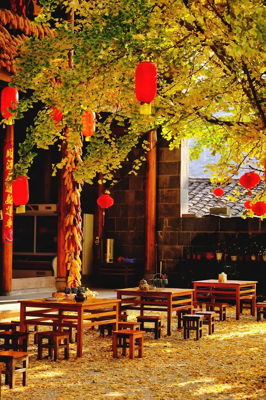 The most beautiful place to travel in November, no strategy and no money, which one do you want to go to?