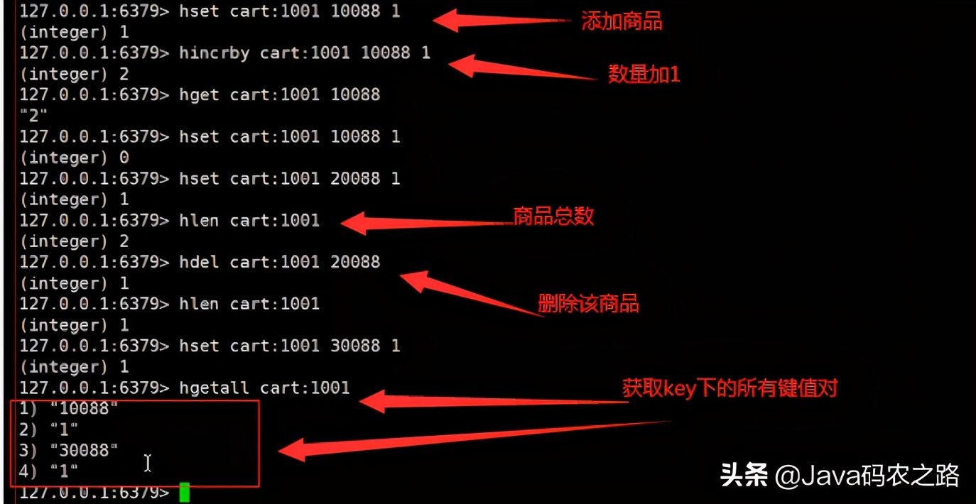 redis的五种数据结构和应用场景：微博微信点赞+加购物车等